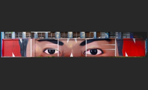 Fotografía del mural de Camilo Catrillanca