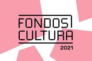 Académicos/as de Pedagogía en Artes, participan como evaluadores y evaluadoras Fondart convocatoria 2022