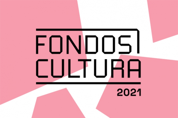 Académicos/as de Pedagogía en Artes, participan como evaluadores y evaluadoras Fondart convocatoria 2022