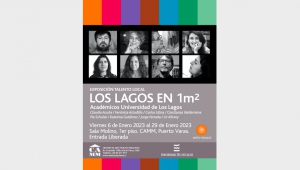 Exposición &quot;Los Lagos en 1 mt2&quot;, de  académicos- artistas visuales de Pedagogía en Artes, se inaugura en el CAMM Puerto Varas